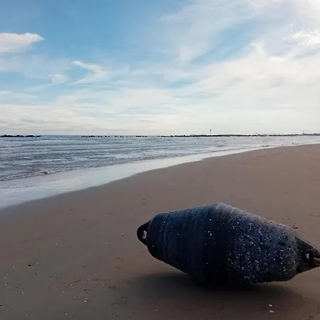 Casa Giapao דירה פסקרה